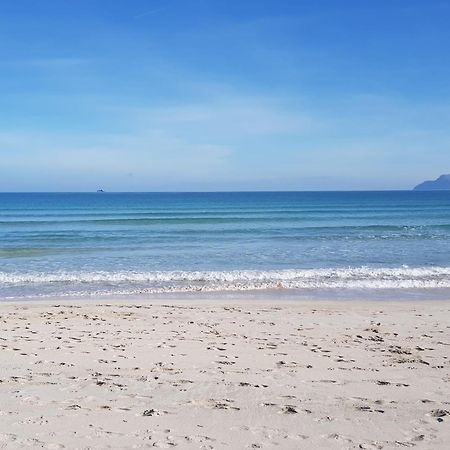 Ideal Property Mallorca - Mary Port de Alcudia  Eksteriør billede