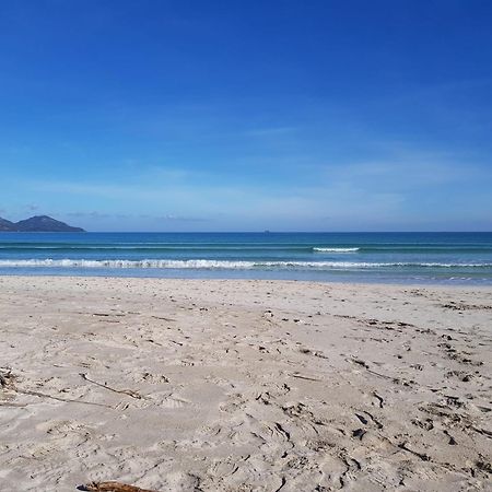 Ideal Property Mallorca - Mary Port de Alcudia  Eksteriør billede