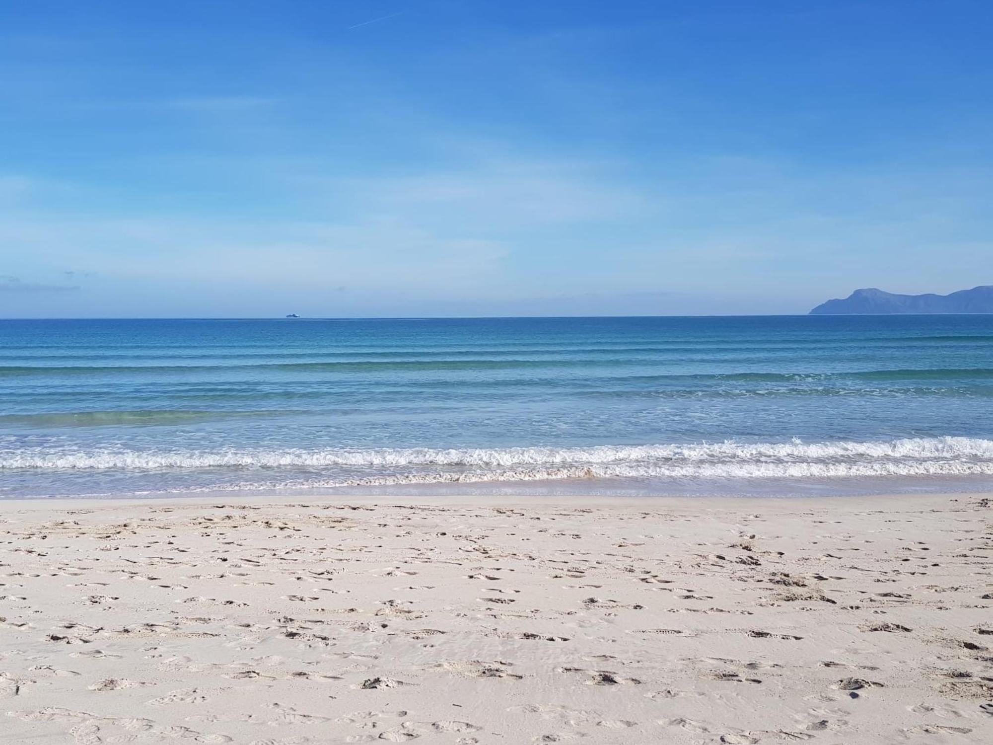 Ideal Property Mallorca - Mary Port de Alcudia  Eksteriør billede
