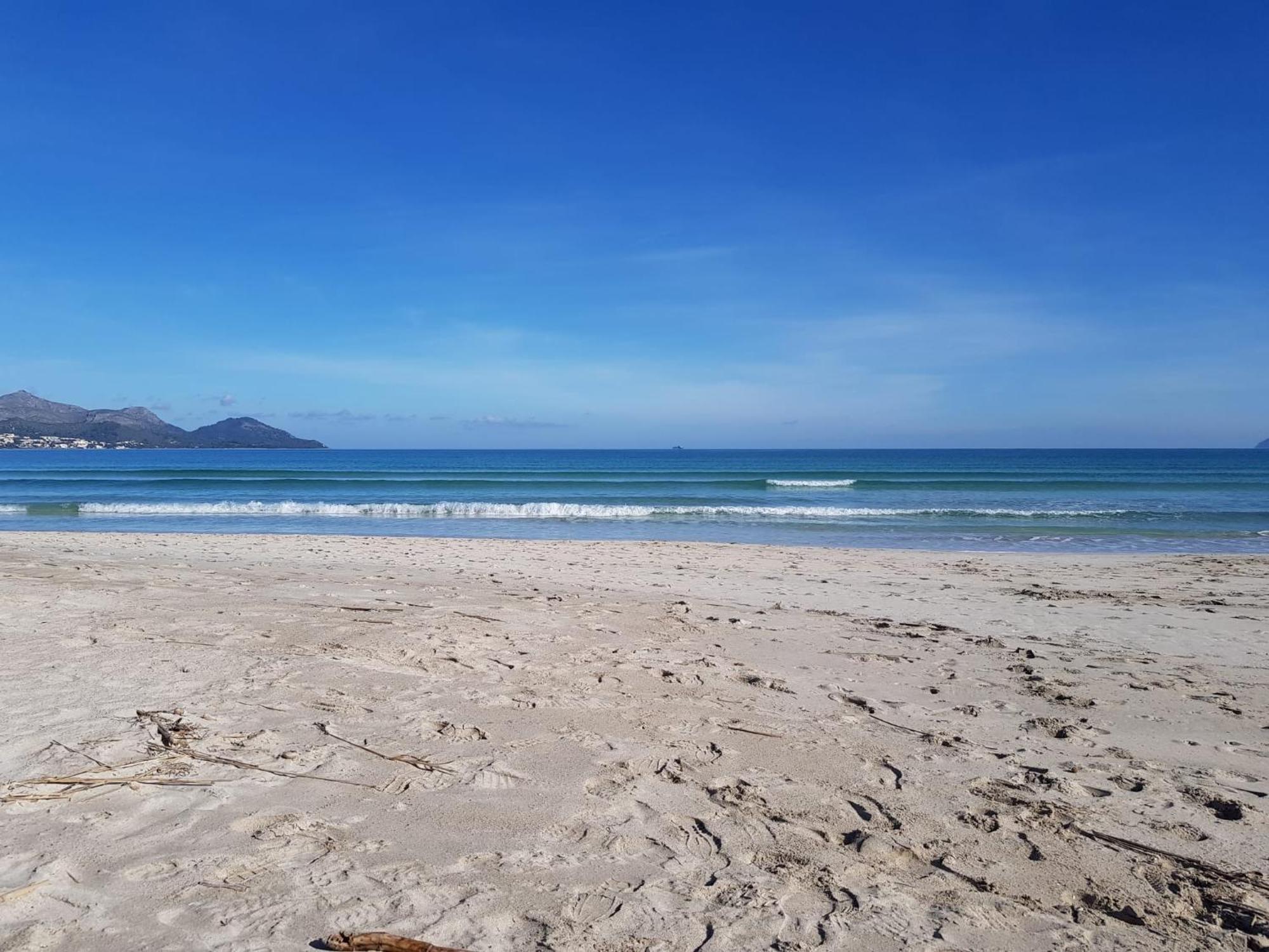 Ideal Property Mallorca - Mary Port de Alcudia  Eksteriør billede